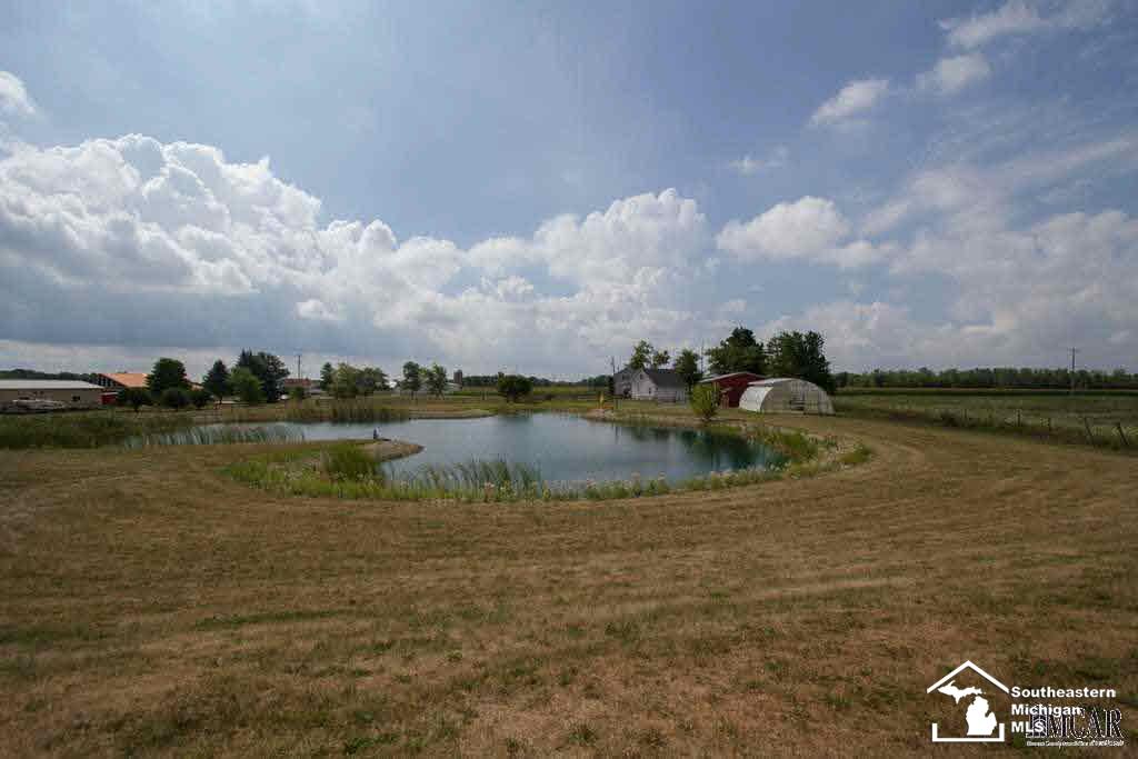 7364 Beck Road Ottawa Lake, MI 49267 - Photo 45 of 45 Pond View 2