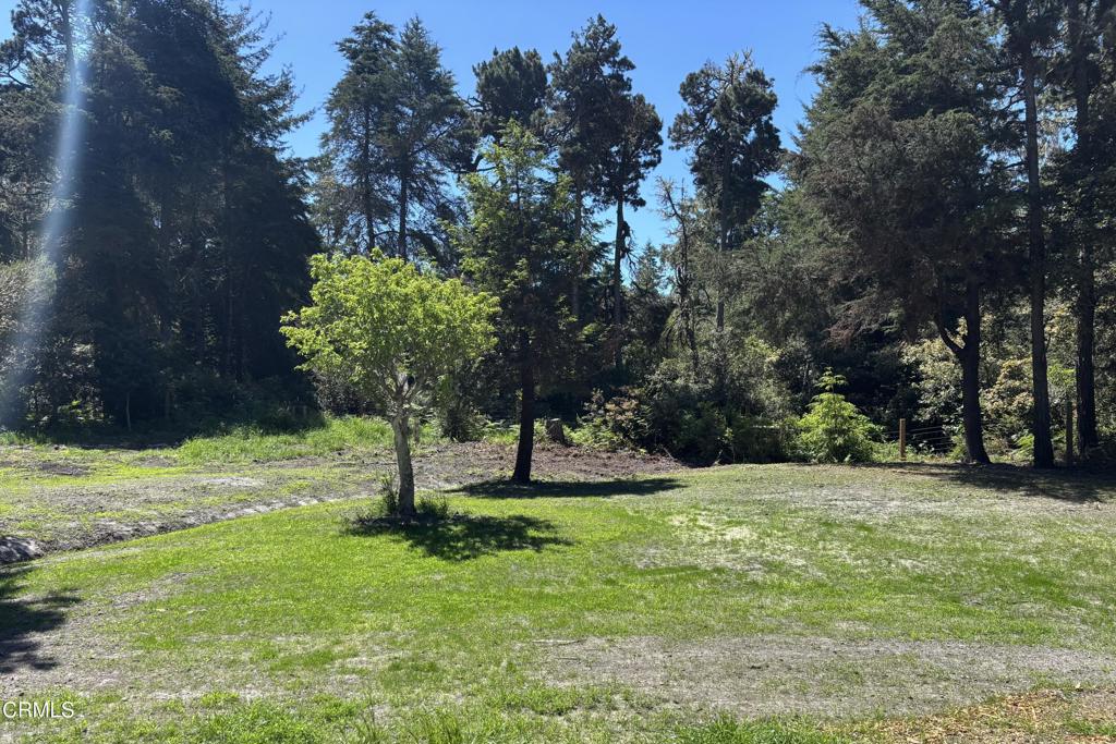 31301 Turner Road Fort Bragg, CA 95437 - Photo 29 of 32
