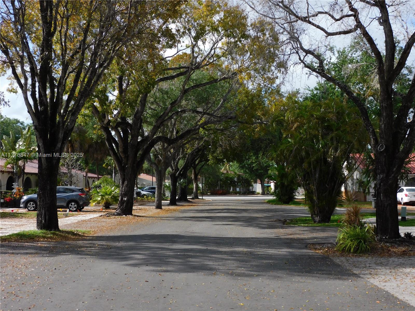 6936 Holly Road Miami Lakes, FL 33014 - Photo 40 of 43 Street view with beautiful Oak Trees.