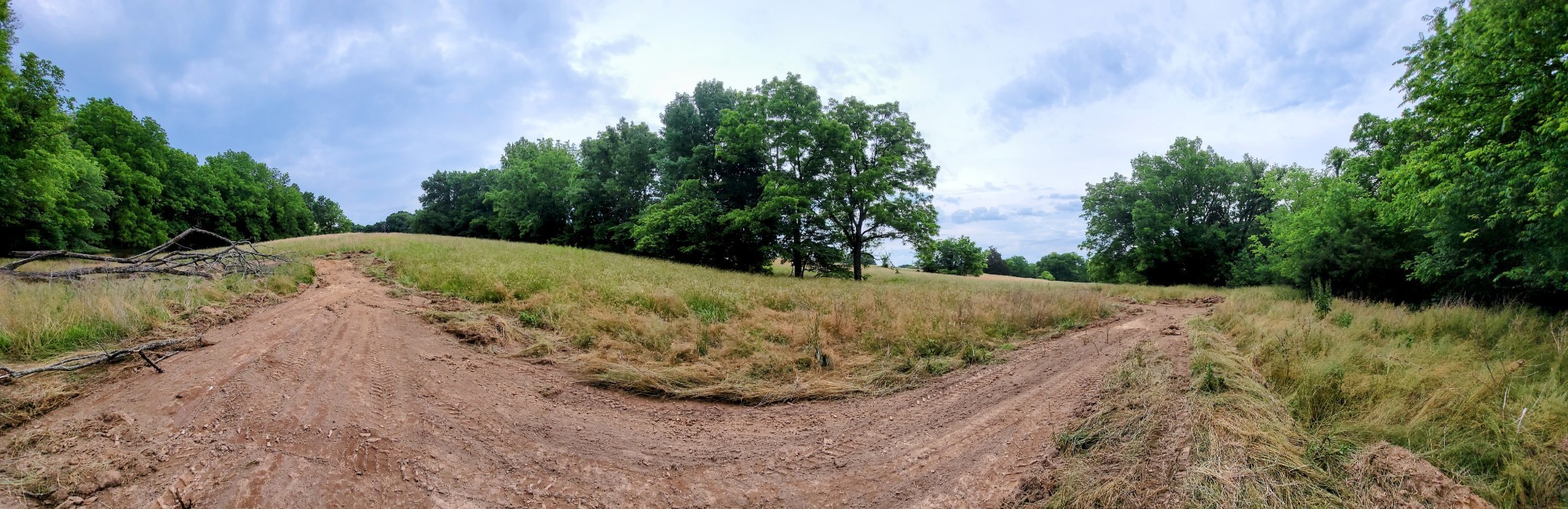 244 Access Road Pulaski, TN 38478 - Photo 24 of 34