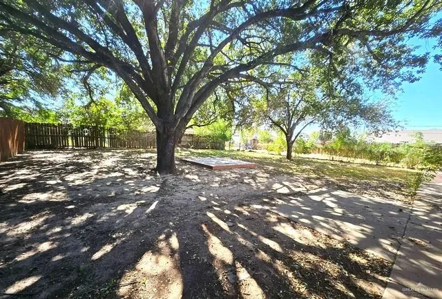 a view of yard with tree