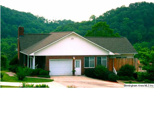 179 Dorr Road Oneonta, AL 35121 - Photo 3 of 21