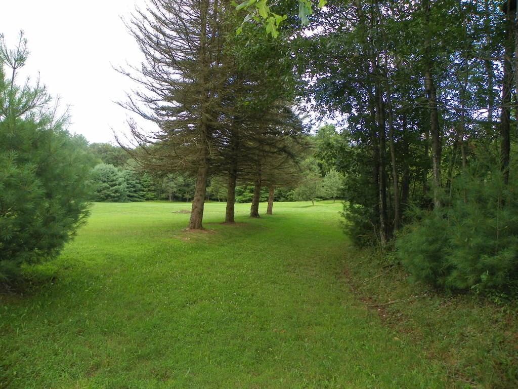2555 Hemlock Road Tionesta, PA 16353 - Photo 14 of 38