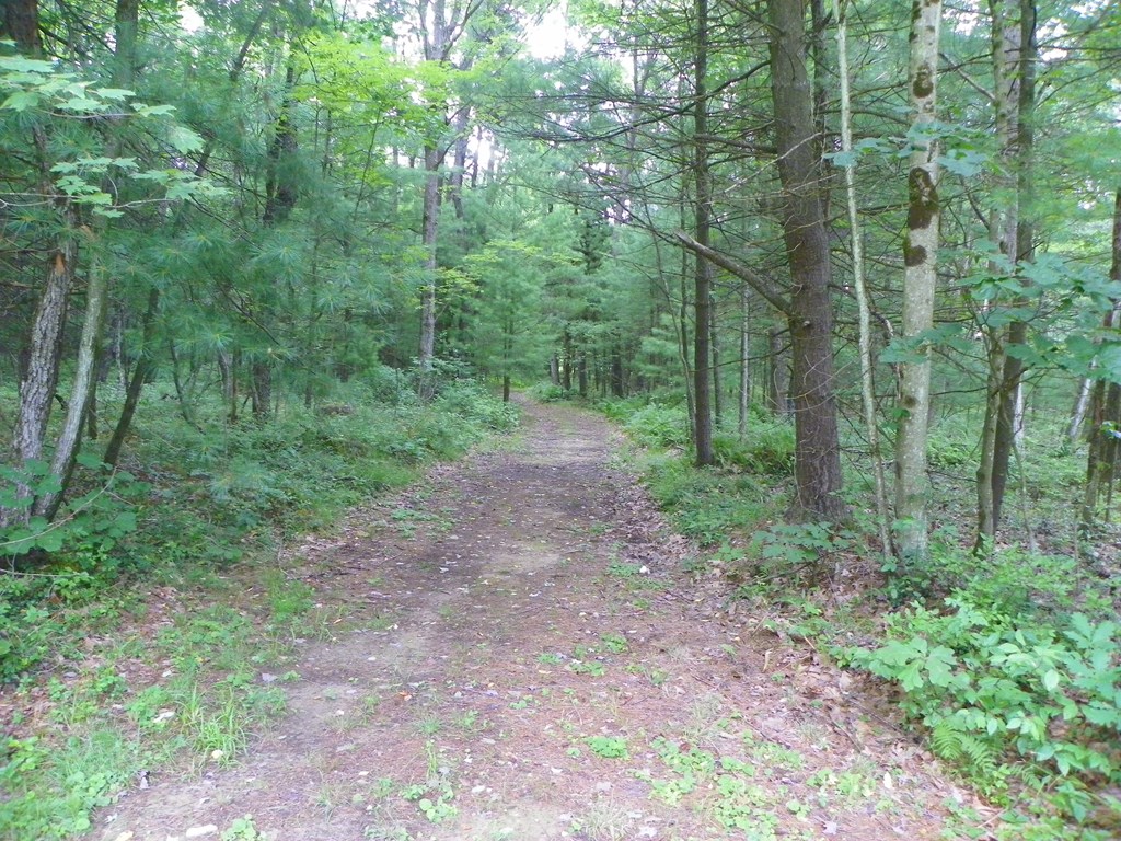 2555 Hemlock Road Tionesta, PA 16353 - Photo 10 of 38