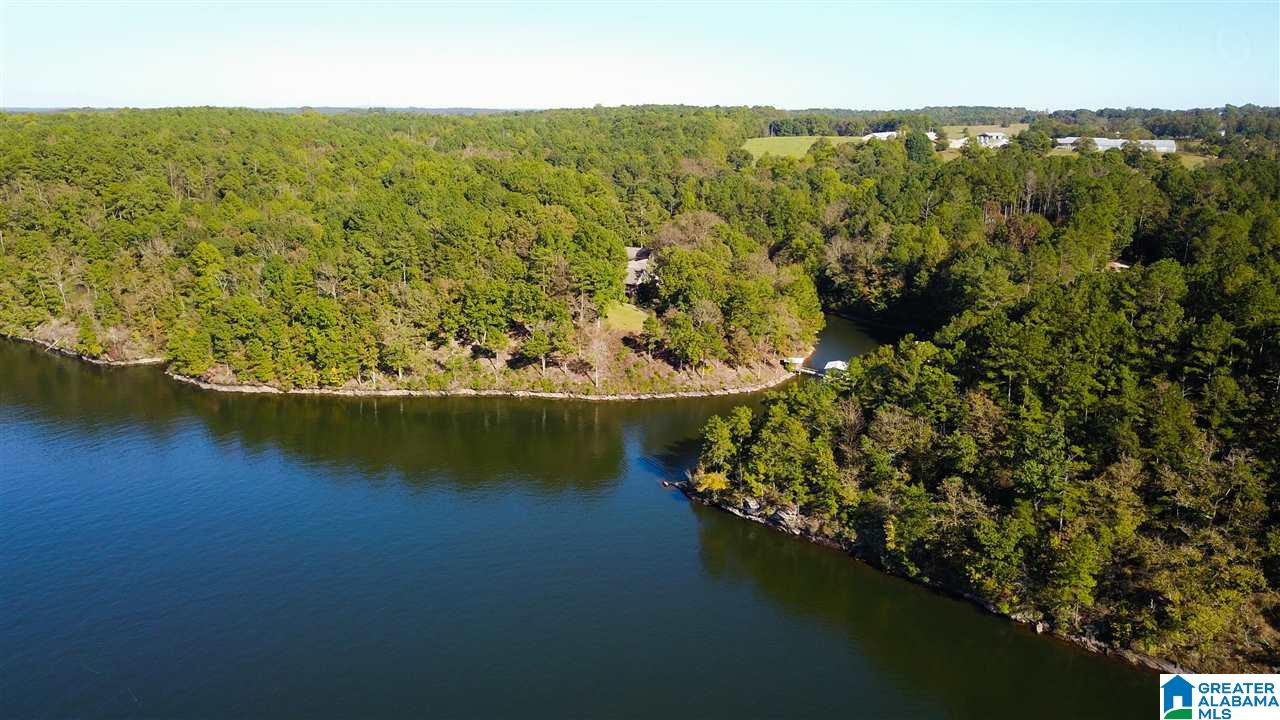 1843 County Road 129 Wedowee, AL 36278 - Photo 42 of 48