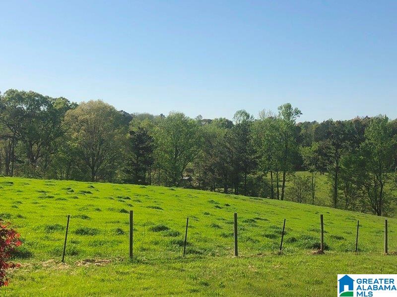 475 County Road 67 Ranburne, AL 36273 - Photo 4 of 6