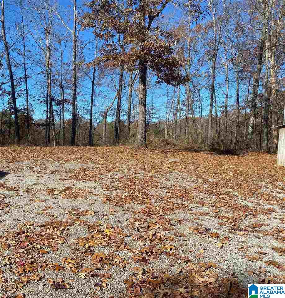 1169 Raywood Road Woodstock, AL 35188 - Photo 29 of 50