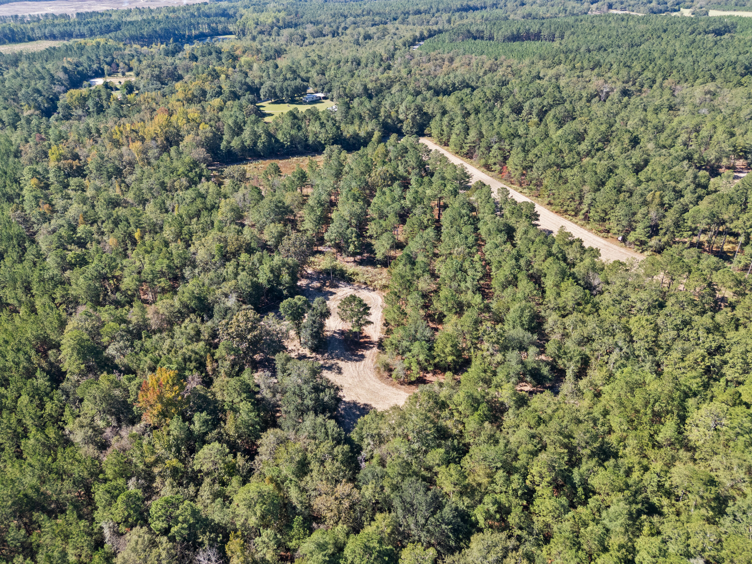 7901 State Rd S-6-169 Blackville, SC 29817 - Photo 78 of 89