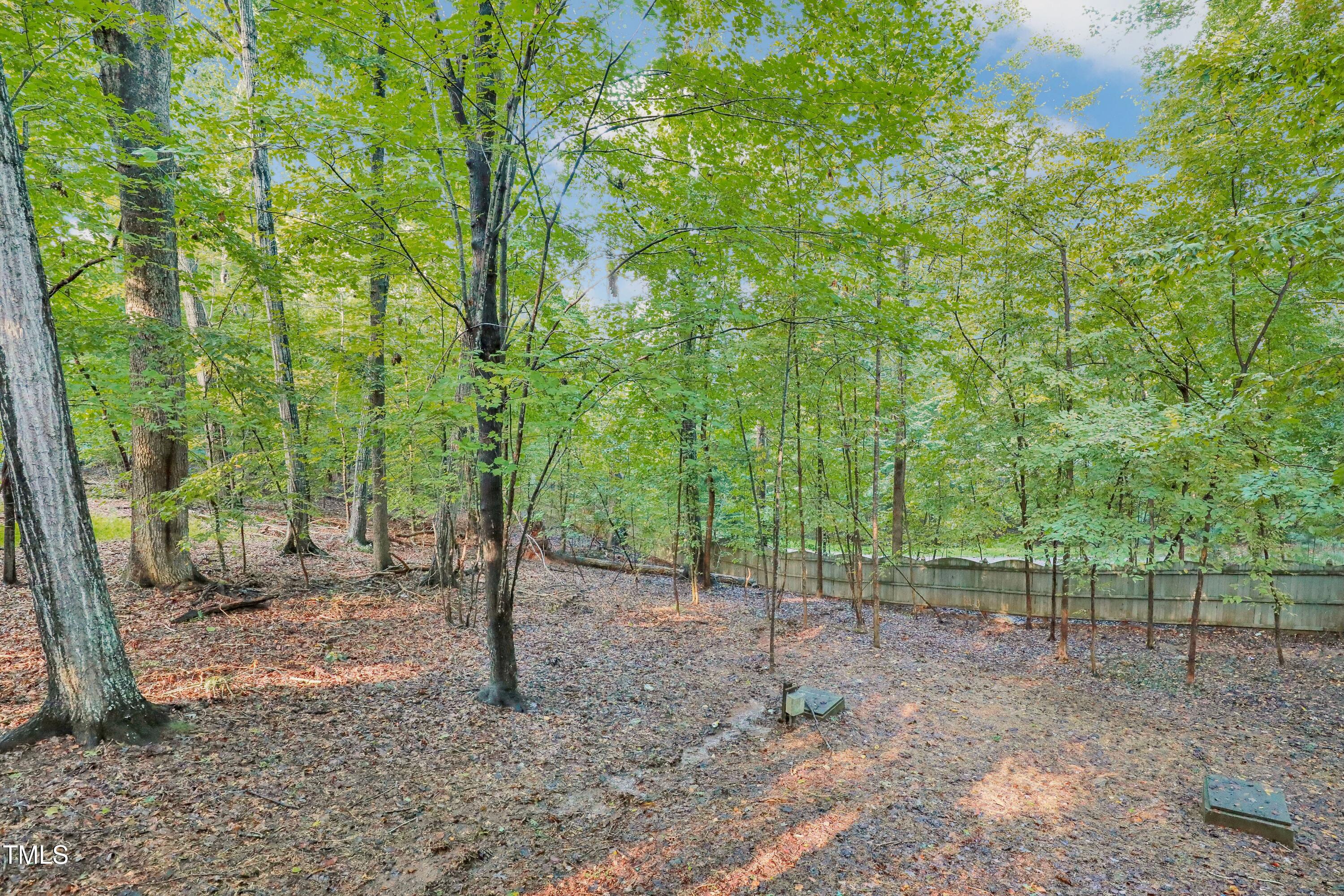 11312 Old Creedmoor Road Raleigh, NC 27613 - Photo 61 of 62 a view of a forest with trees in the background