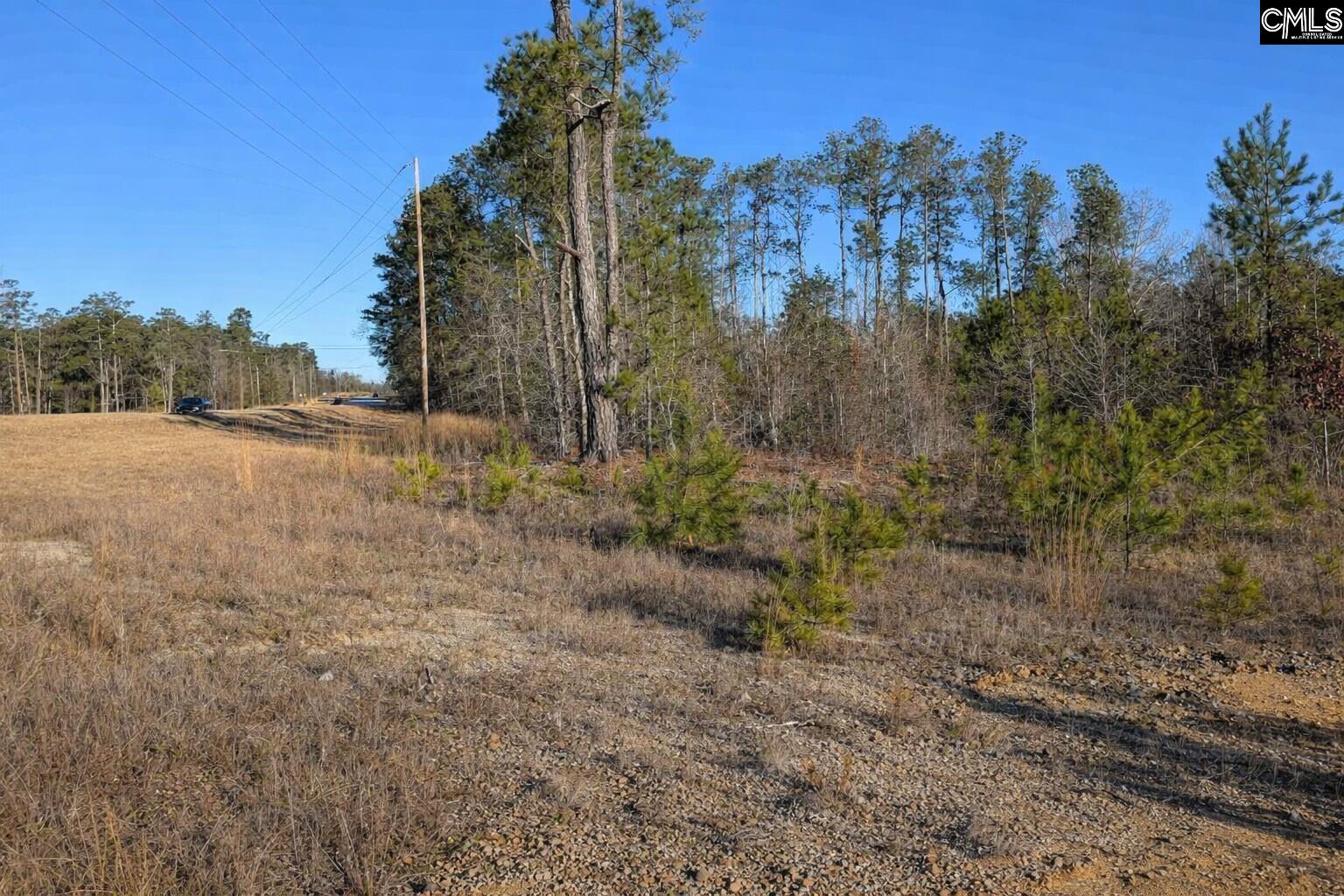 7884 Winnsboro Road Columbia, SC 29203 - Photo 4 of 7