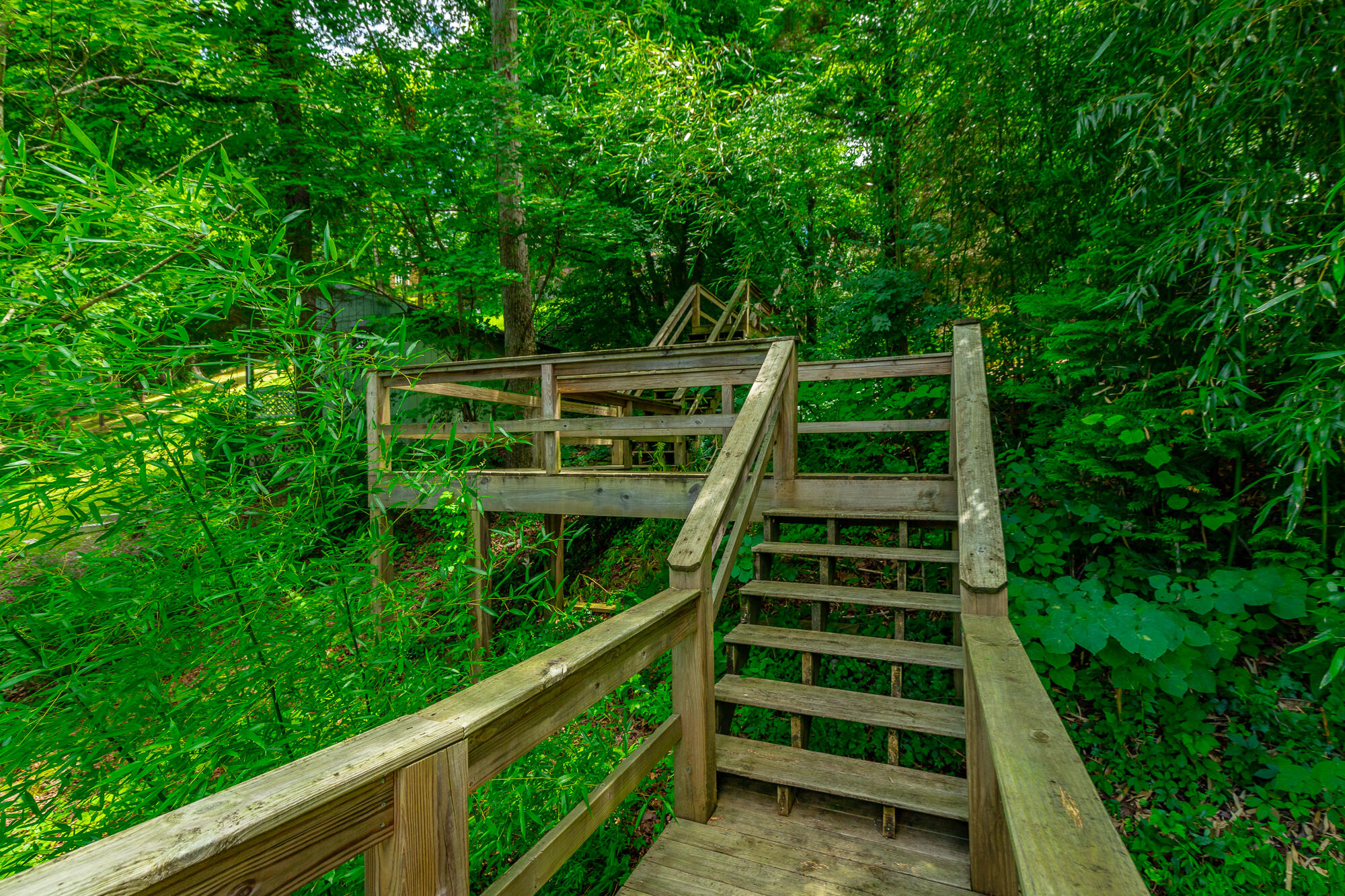 1033 Clift Cave Road Soddy-Daisy, TN 37379 - Photo 73 of 100 1033 Clift Cave Road HD-61