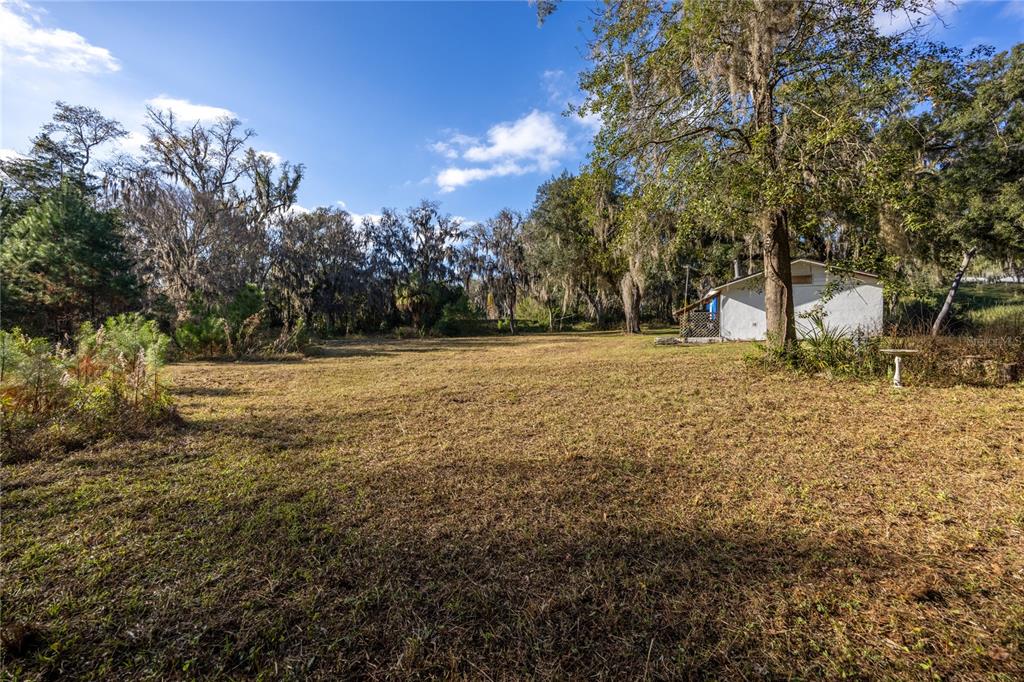 560 Northwest 39th Road Gainesville, FL 32607 - Photo 3 of 13 a view of a yard with trees