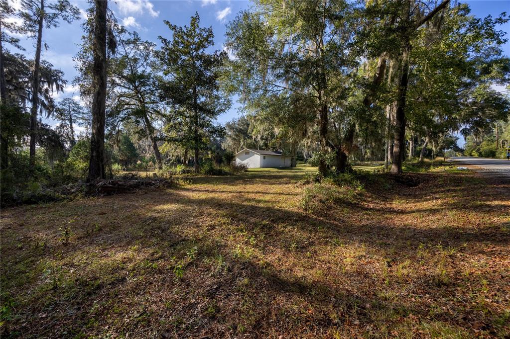 560 Northwest 39th Road Gainesville, FL 32607 - Photo 5 of 13 a view of dirt yard with a large tree