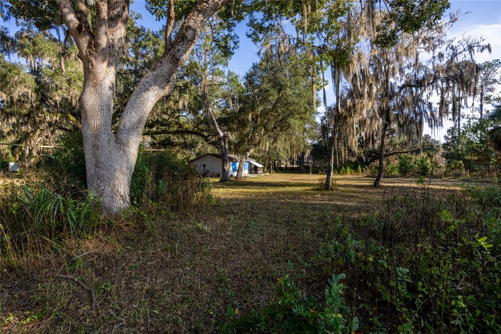 560 Northwest 39th Road Gainesville, FL 32607 - Photo 7 of 13 a view of outdoor space with trees