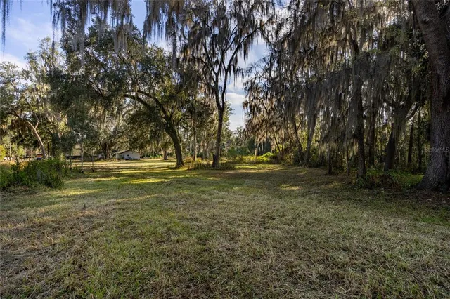 a view of outdoor space with trees
