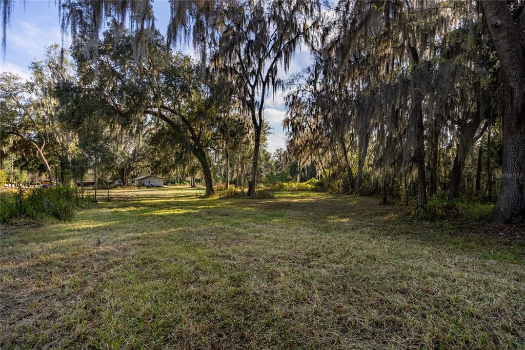 560 Northwest 39th Road Gainesville, FL 32607 - Photo 8 of 13 a view of outdoor space with trees