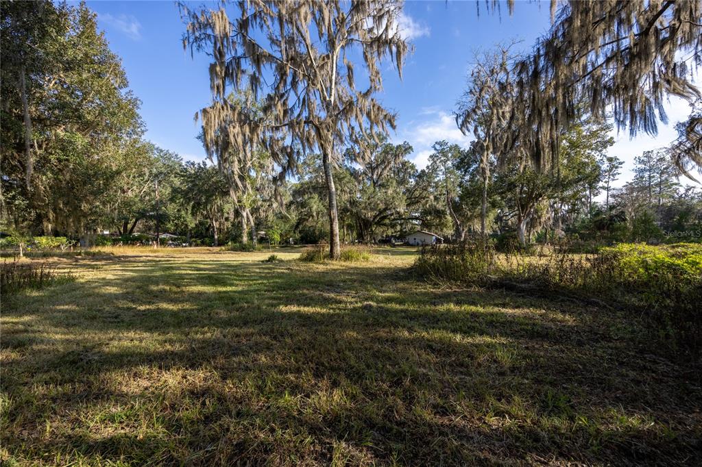 560 Northwest 39th Road Gainesville, FL 32607 - Photo 10 of 13 a view of outdoor space with trees all around