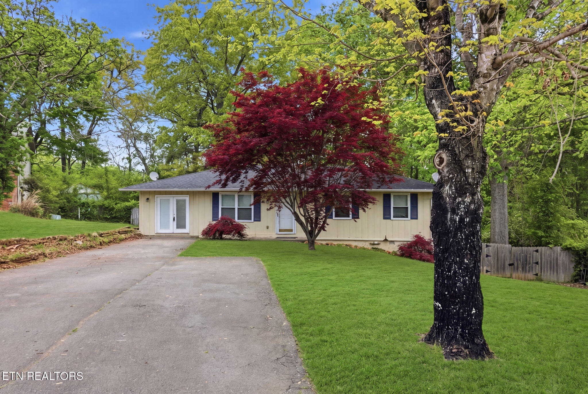 3420 Wexgate Road Knoxville, TN 37931 - Photo 3 of 41 5-web-or-mls-DZ3A1433_grass_a093a81f