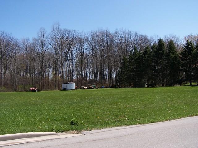 Corner View of Lot (MAIN)