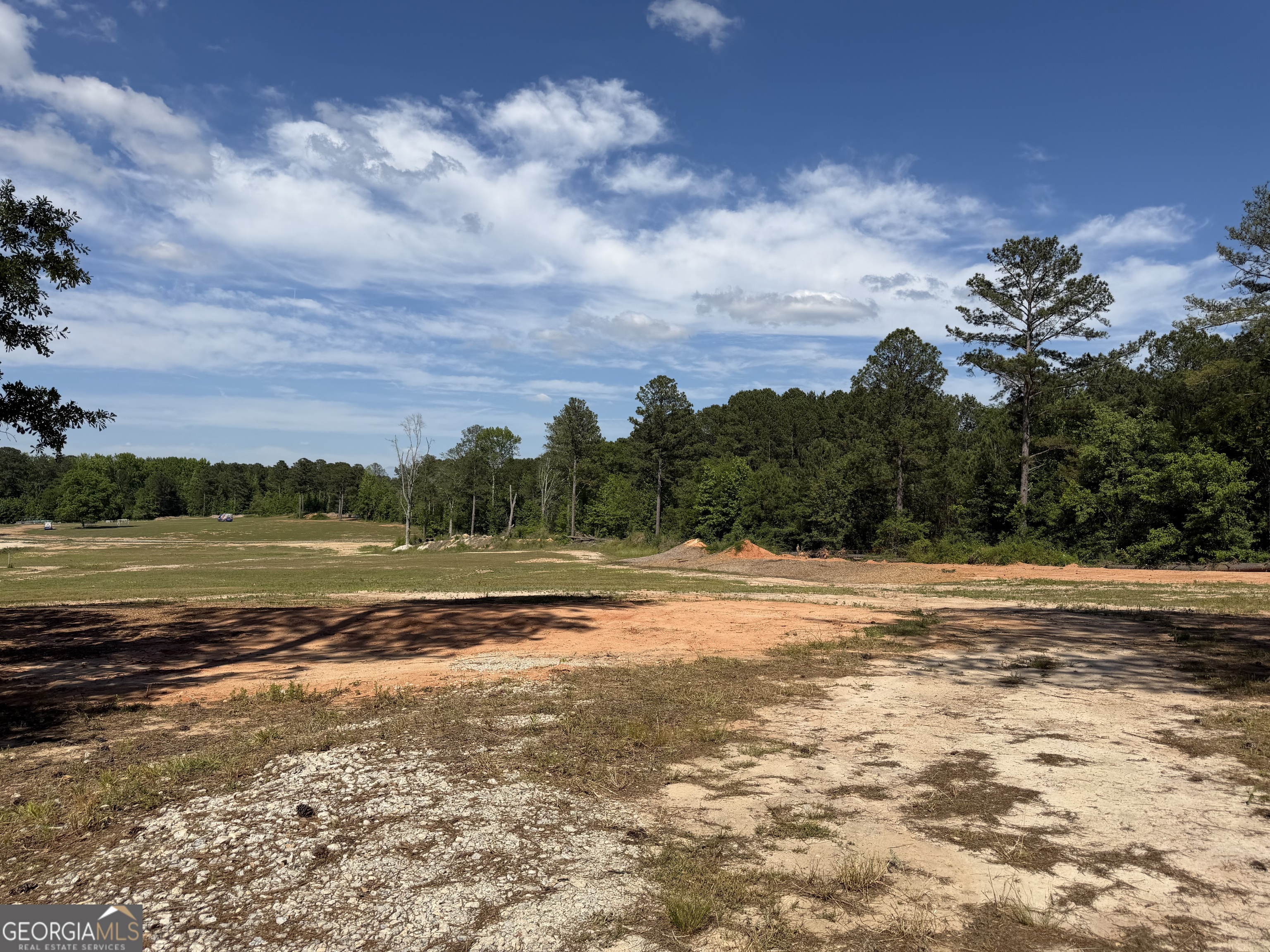 1330 Steele Road Griffin, GA 30223 - Photo 4 of 5