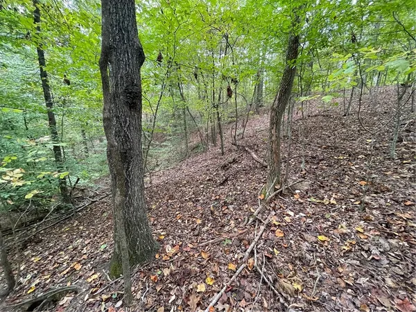 $35,000 | Lot 296-chickasaw Lot 296-chickasaw Point Oconee Avenue, Westminster, SC 29693