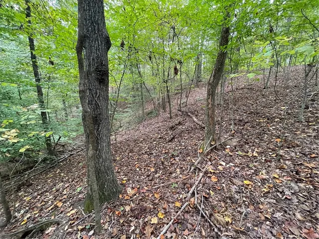 $35,000 | Lot 296-chickasaw Lot 296-chickasaw Point Oconee Avenue, Westminster, SC 29693