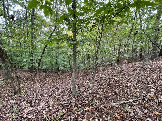 $35,000 | Lot 296-chickasaw Lot 296-chickasaw Point Oconee Avenue, Westminster, SC 29693