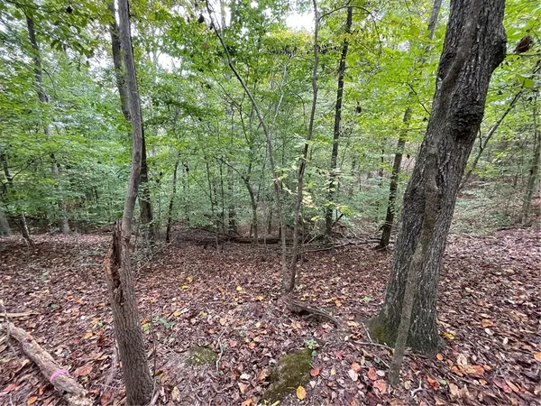 $35,000 | Lot 296-chickasaw Lot 296-chickasaw Point Oconee Avenue, Westminster, SC 29693
