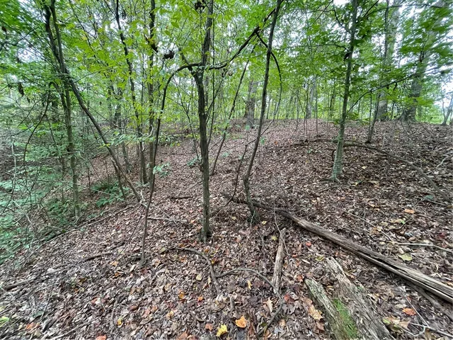 $35,000 | Lot 296-chickasaw Lot 296-chickasaw Point Oconee Avenue, Westminster, SC 29693