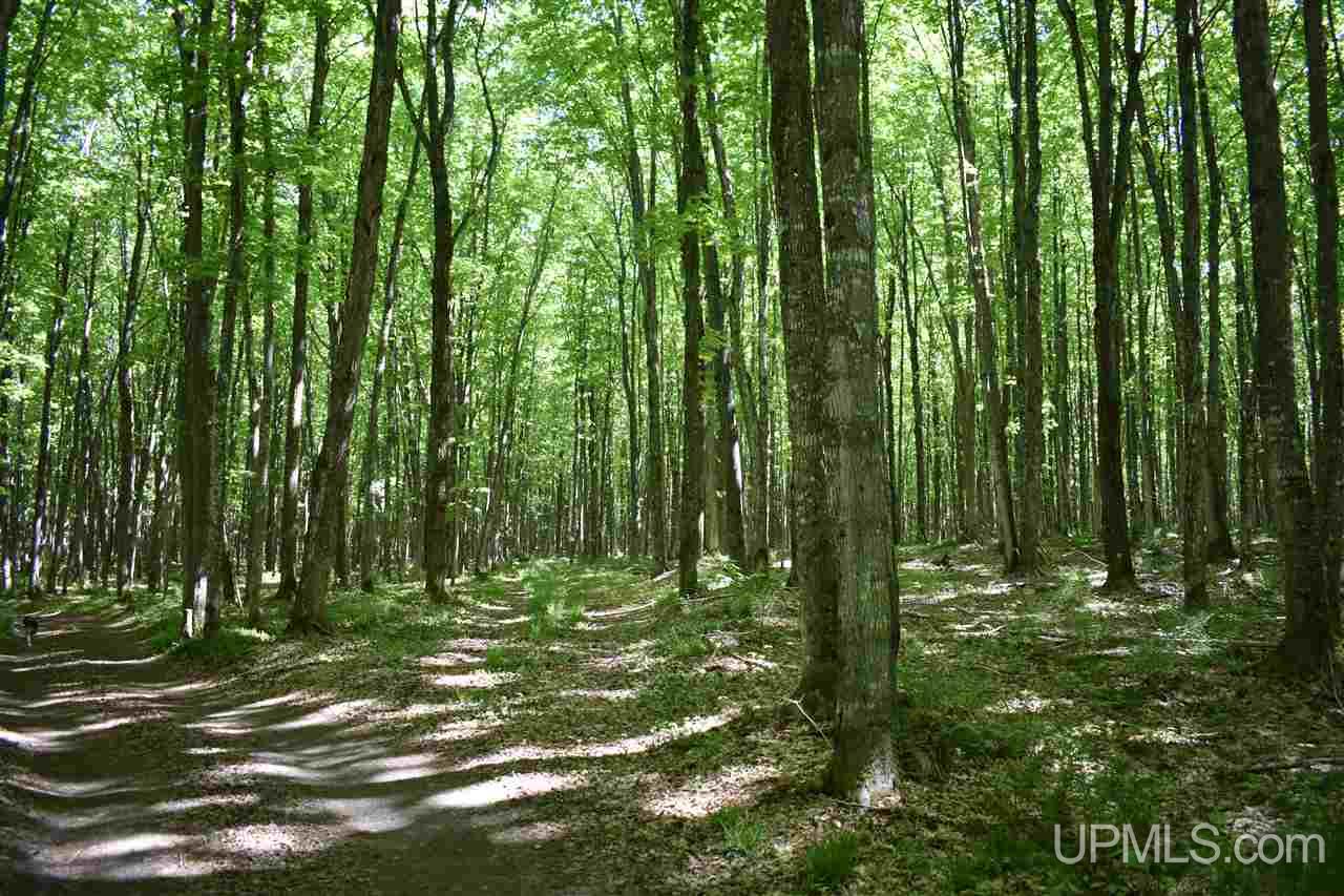24-acres Co Rd Kb Big Bay, MI 49808 - Photo 27 of 50
