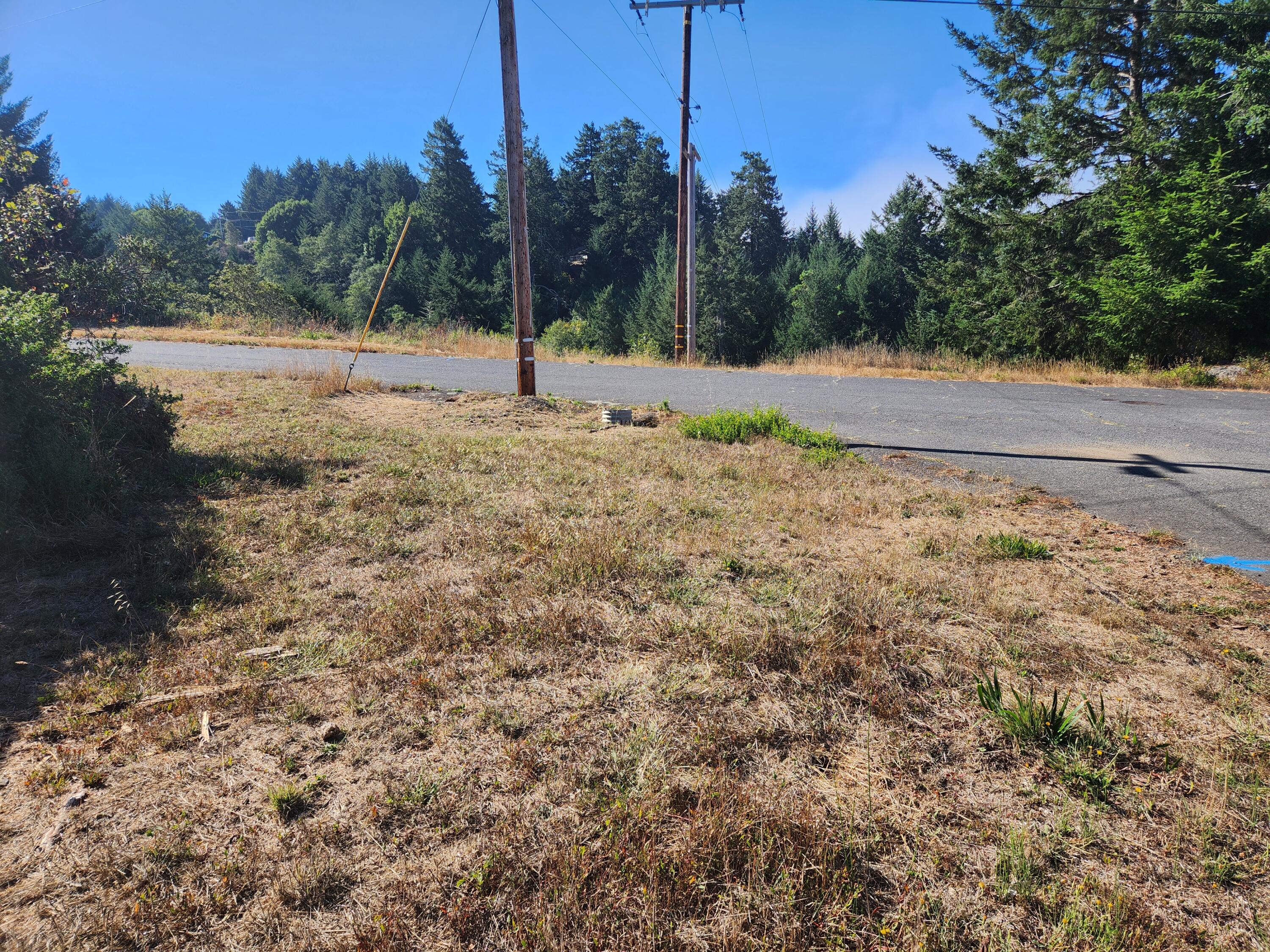 167 Spring Road Whitethorn, CA 95589 - Photo 8 of 9