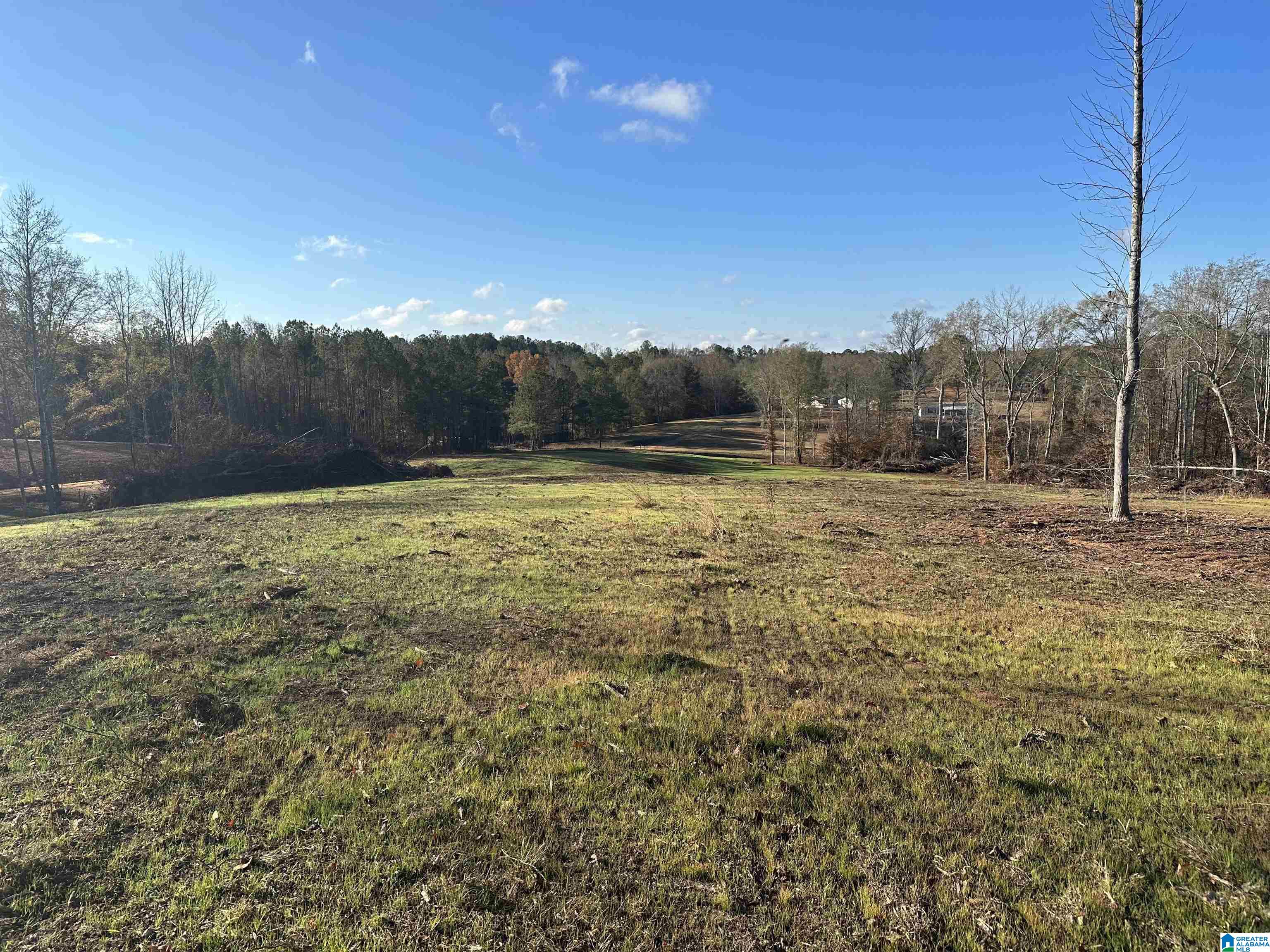 0 County Road 4 Wedowee, AL 36278 - Photo 8 of 24
