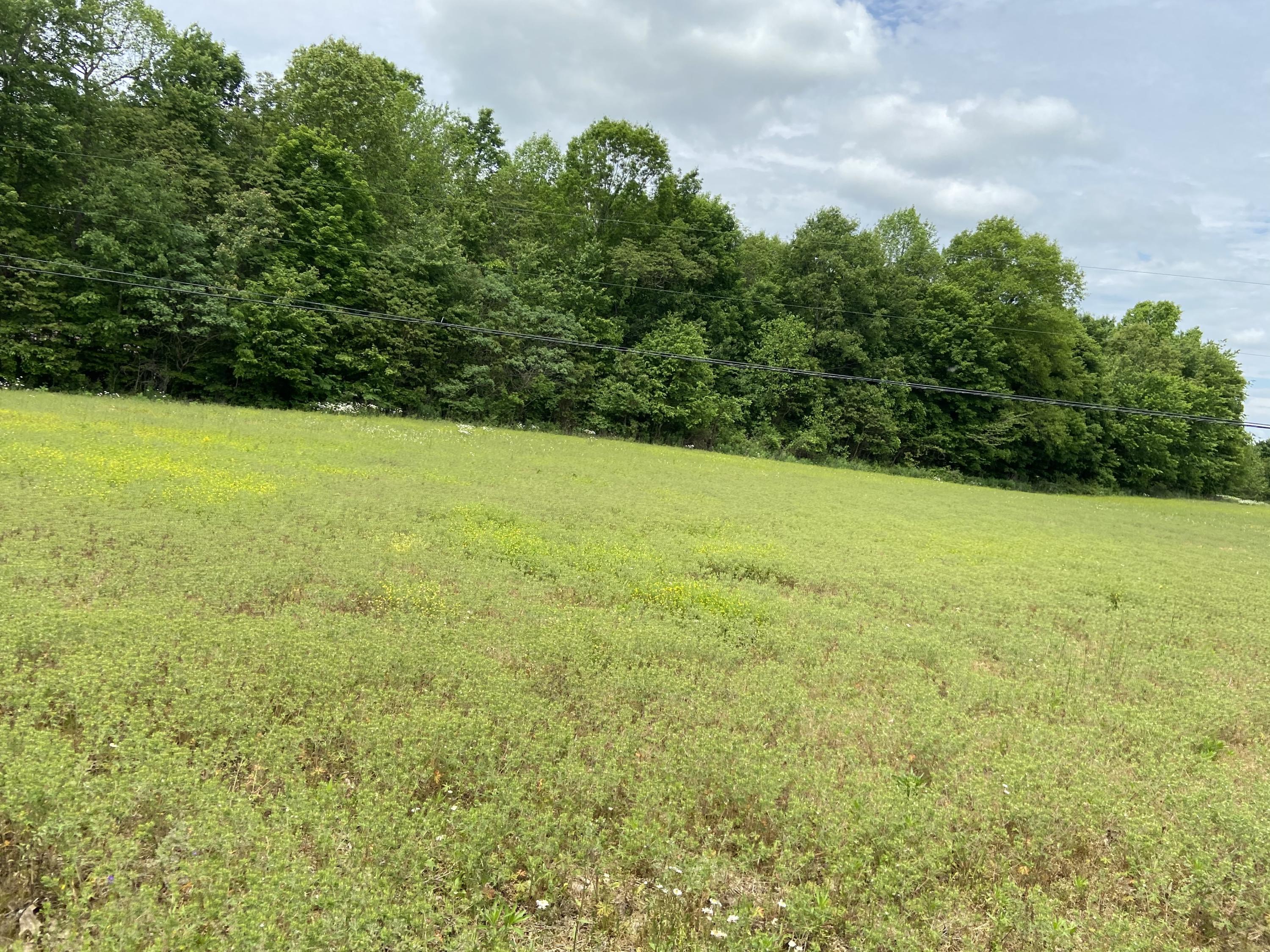 123 South Fork Ridge Road Liberty, KY 42539 - Photo 15 of 28 7F747229-305B-45AC-A441-871EAABC7AE9<|>P