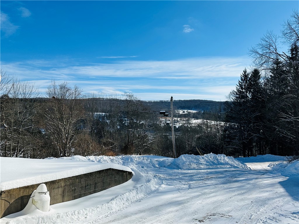 883 Herrick Hollow Road Tompkins, NY 13839 - Photo 13 of 29