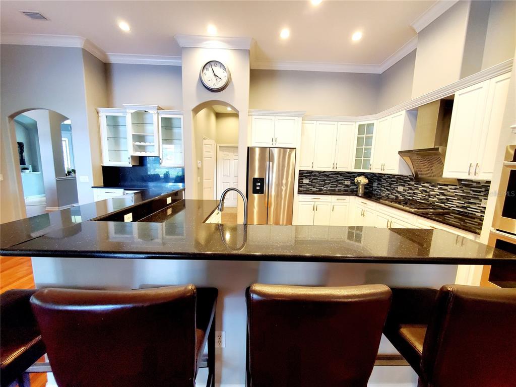 10004 Tree Tops Lake Road Tampa, FL 33626 - Photo 17 of 74 Gallery Image 17