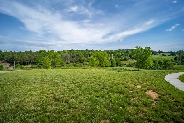 a view of a golf course with a garden