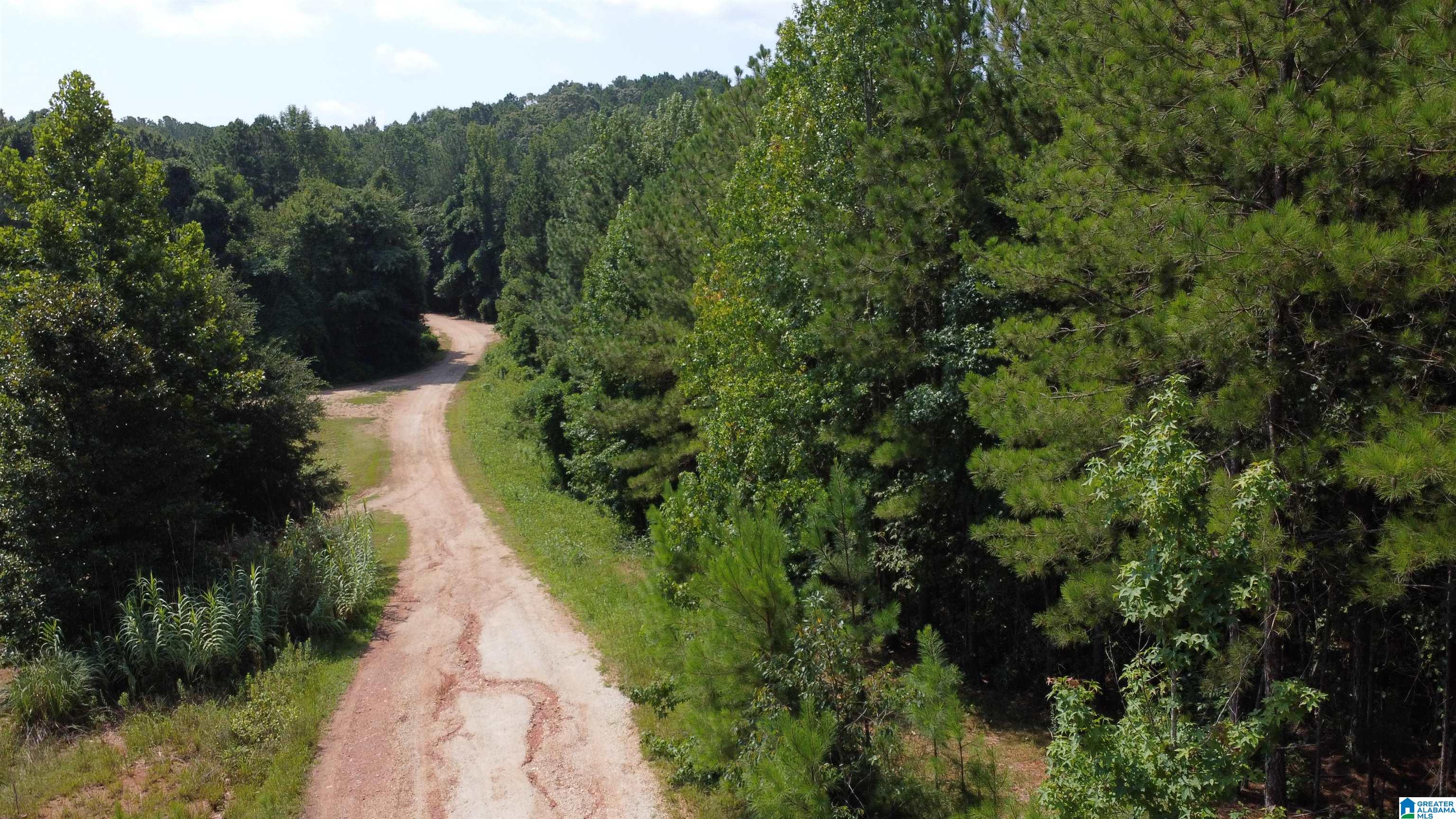 Lane Branch Road, Unit 3 Wedowee, AL 36278 - Photo 6 of 10