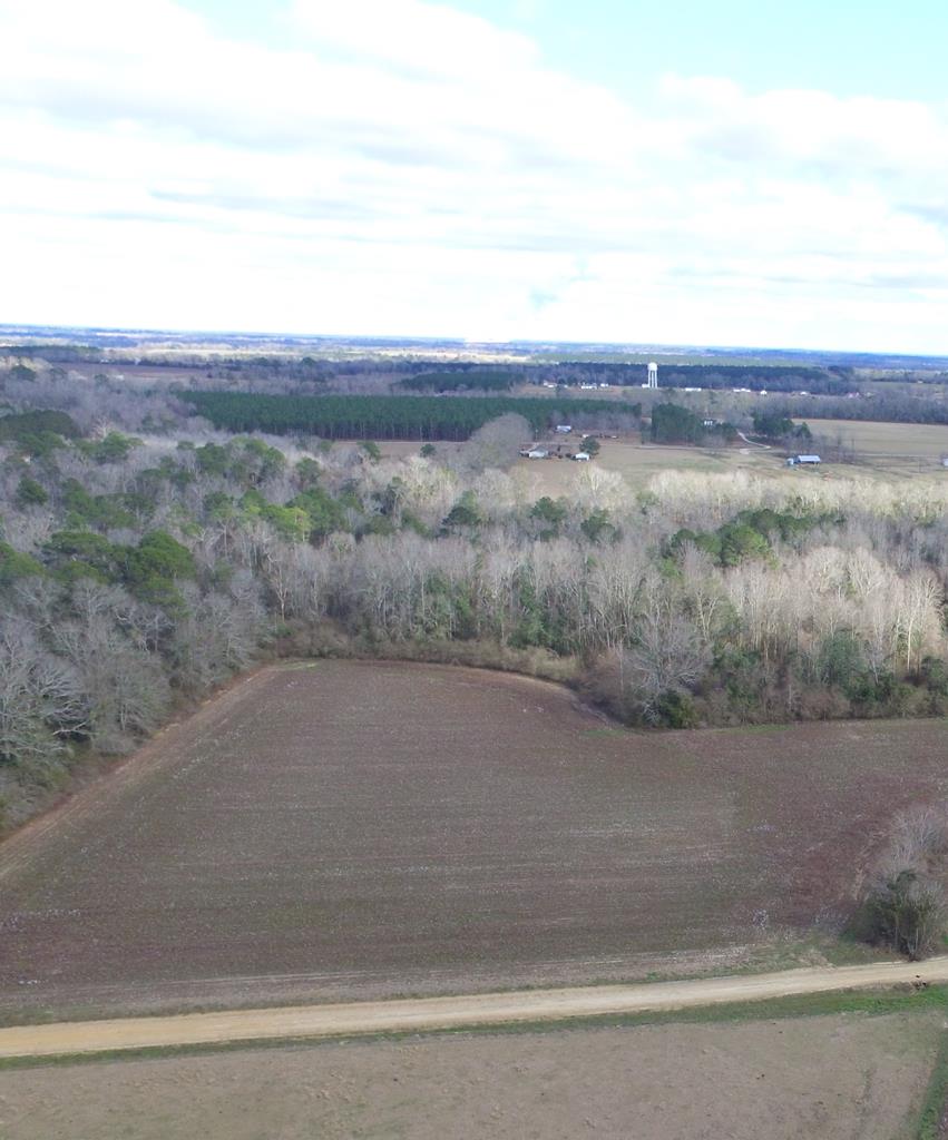 Lot 8 J B Jackson Road Ashford, AL 36312 - Photo 1 of 1