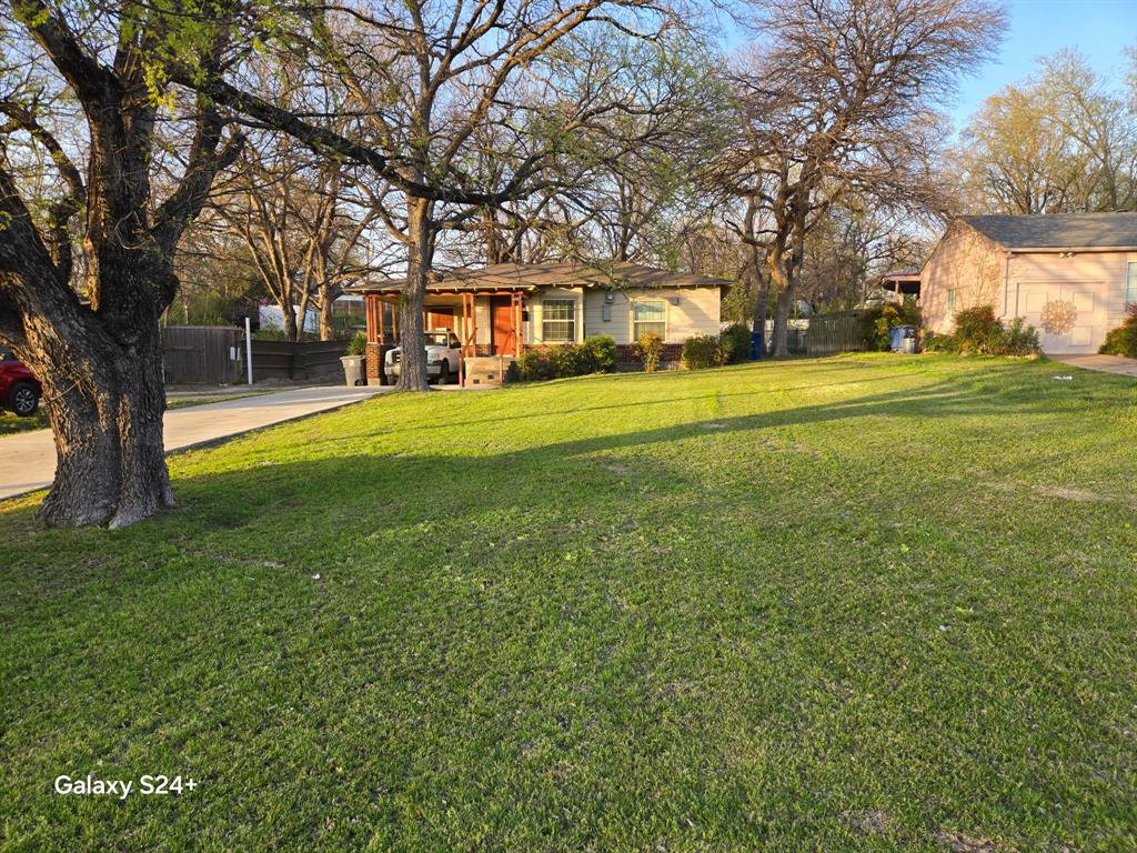 View of yard with concrete driveway and an attached carport