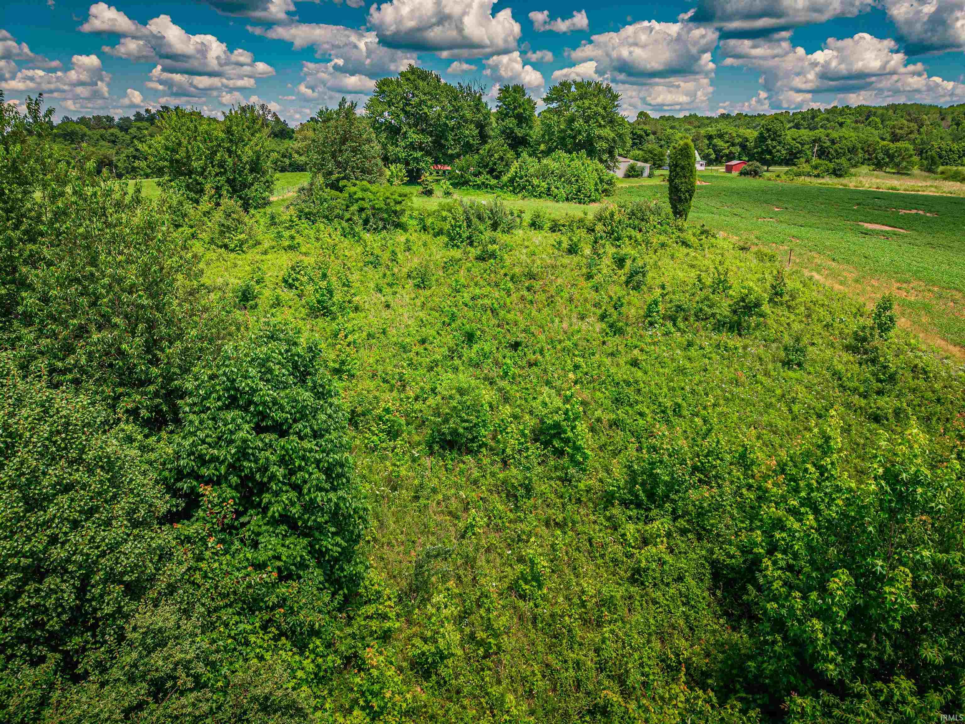 2311 Lashbrook Road Boonville, IN 47601 - Photo 46 of 49