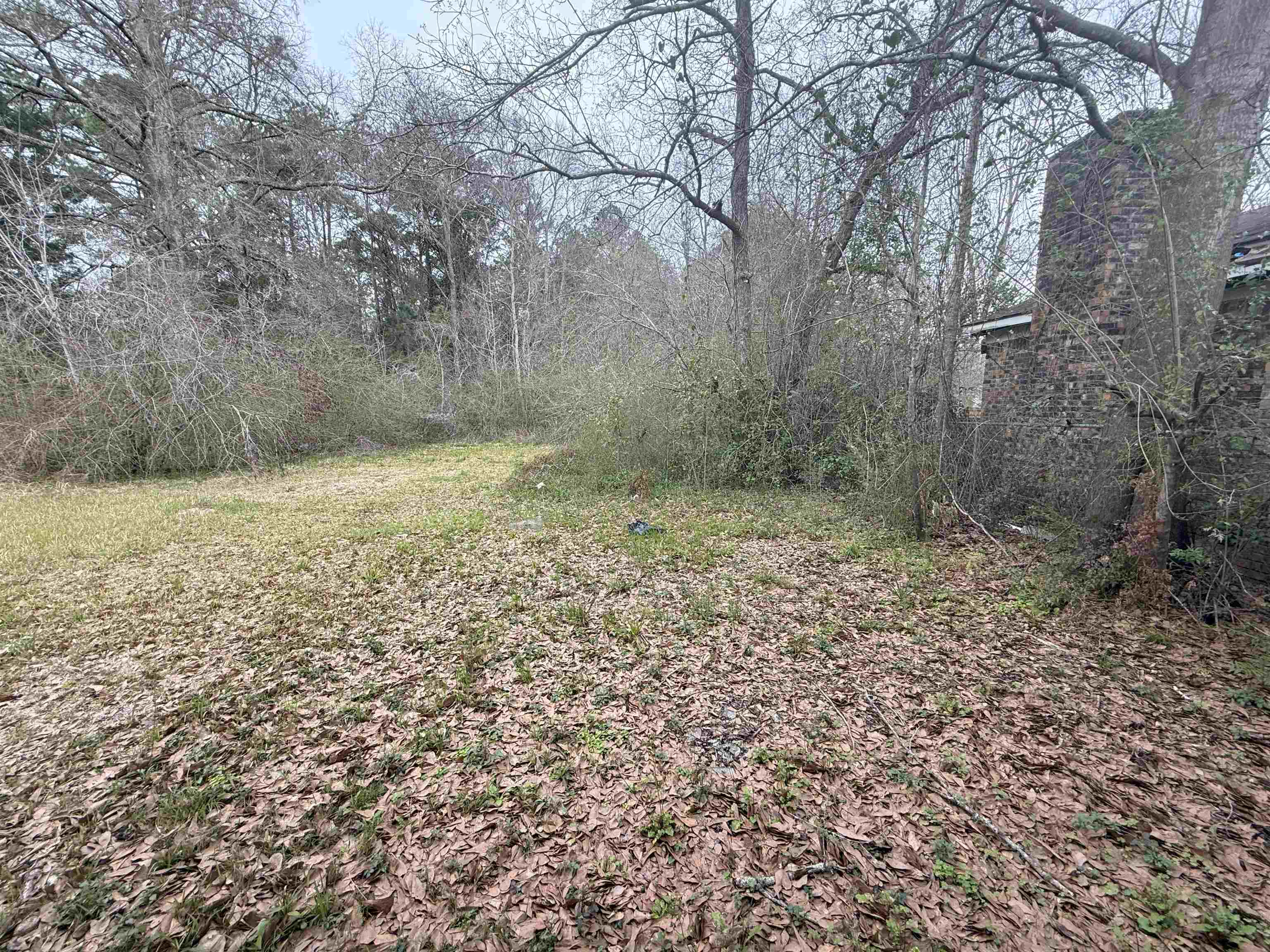 1166 Military Road Mount Vernon, AL 36560 - Photo 6 of 9 Yard