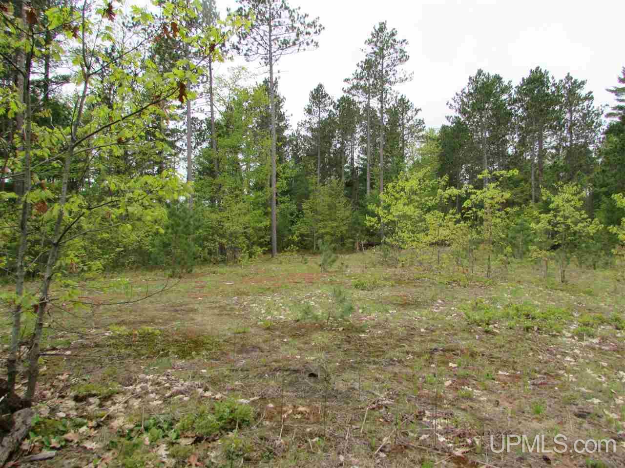 Tbd Sterling Road Wetmore, MI 49895 - Photo 9 of 13