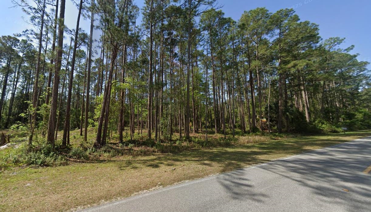 243-245 Georgetown Denver Road Georgetown, FL 32139 - Photo 5 of 9 a view of outdoor space with trees