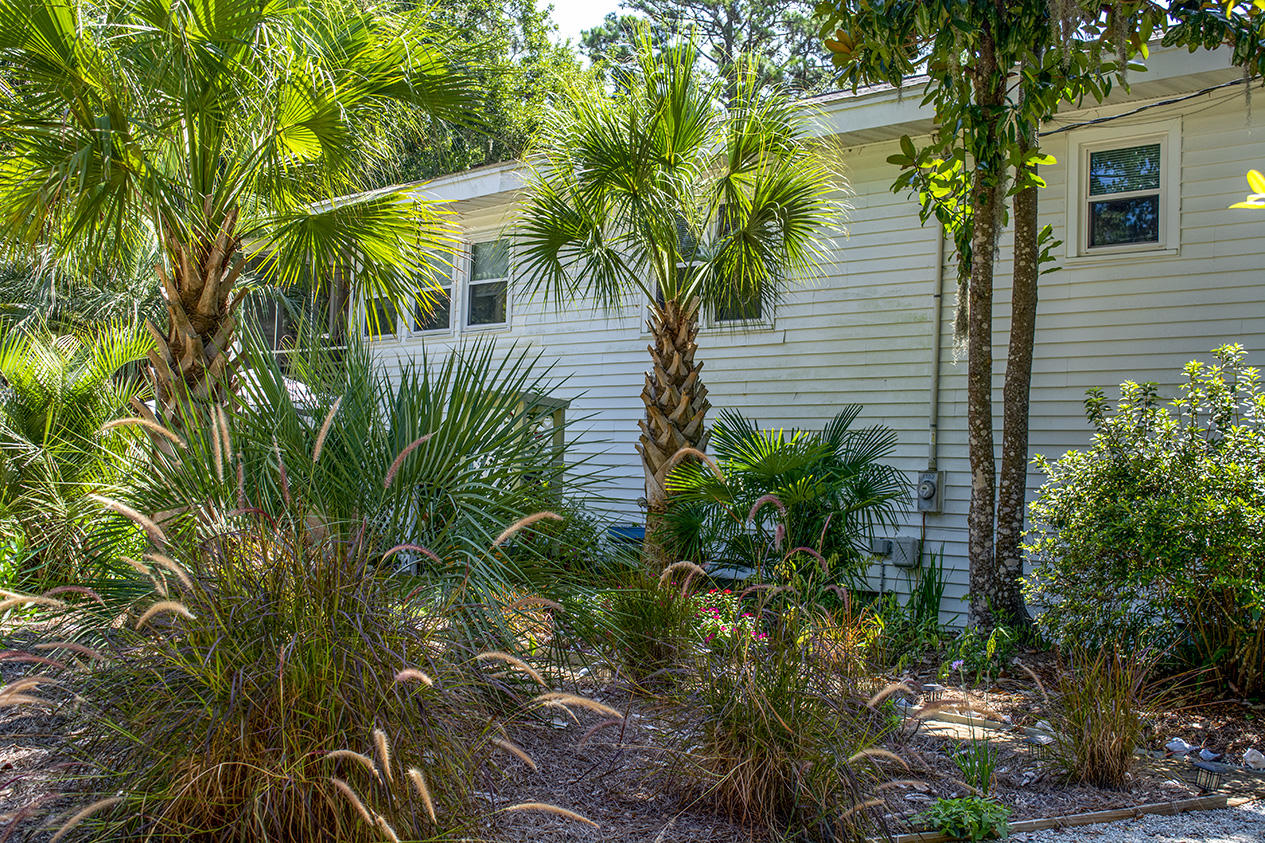1702 Jungle Road Edisto Beach, SC 29438 - Photo 4 of 32 _DSC1178