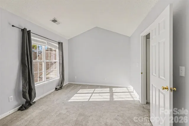 a view of a backyard with plants