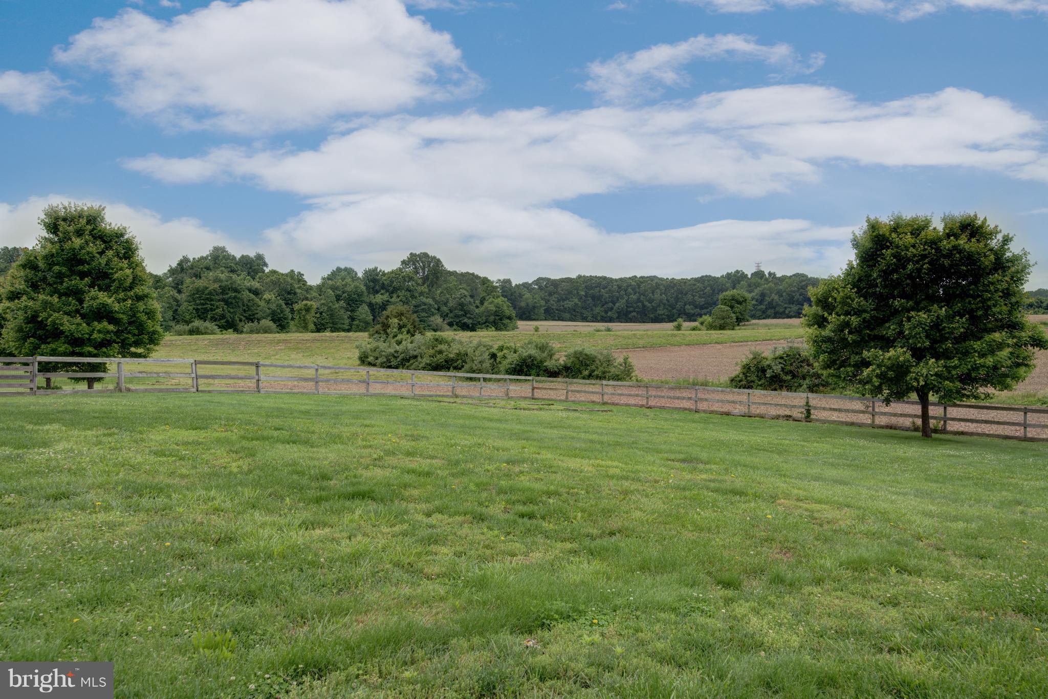 22943 Bay Shore Road Chestertown, MD 21620 - Photo 18 of 26 Backyard View From Deck
