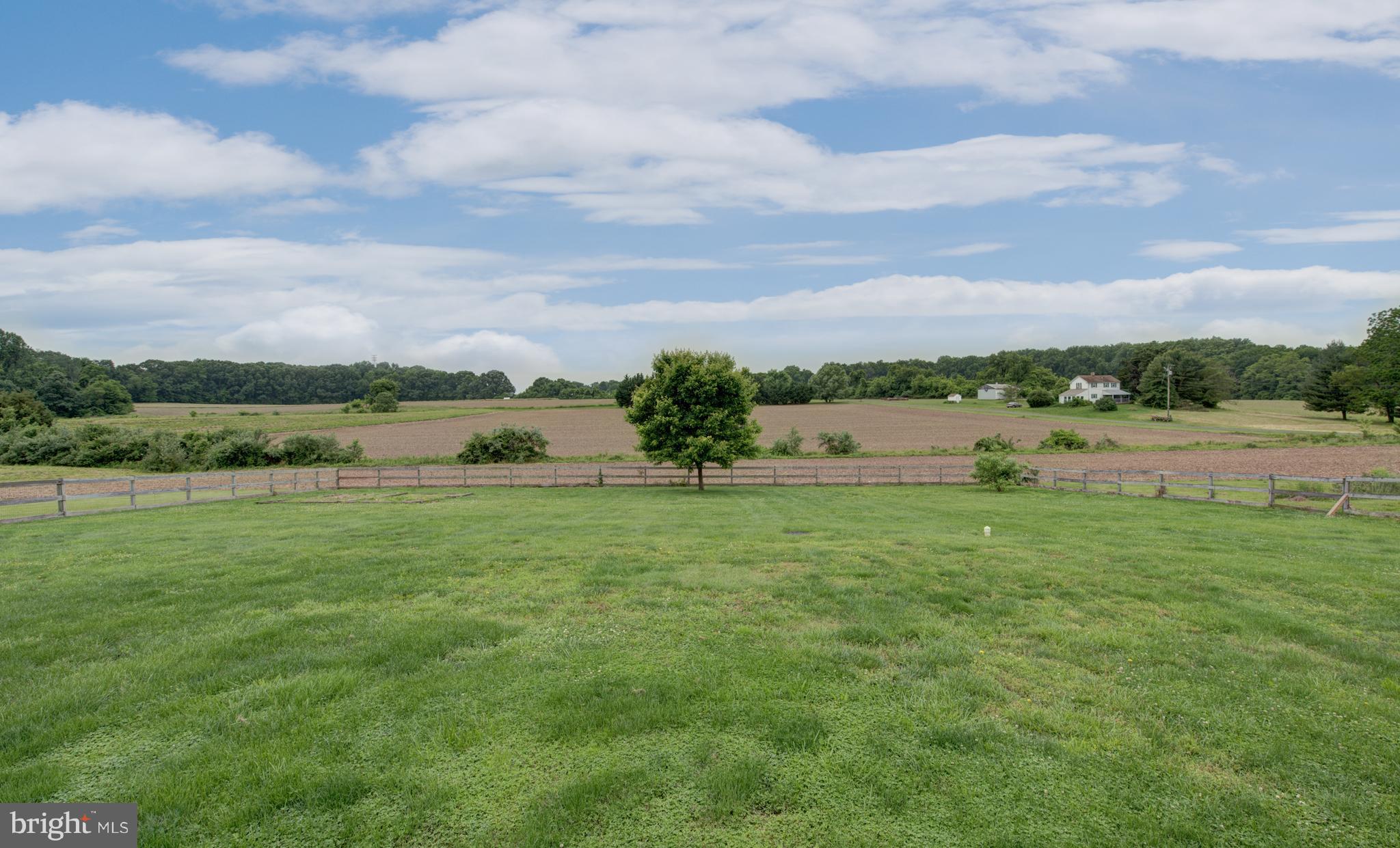 22943 Bay Shore Road Chestertown, MD 21620 - Photo 19 of 26 Backyard View From Deck