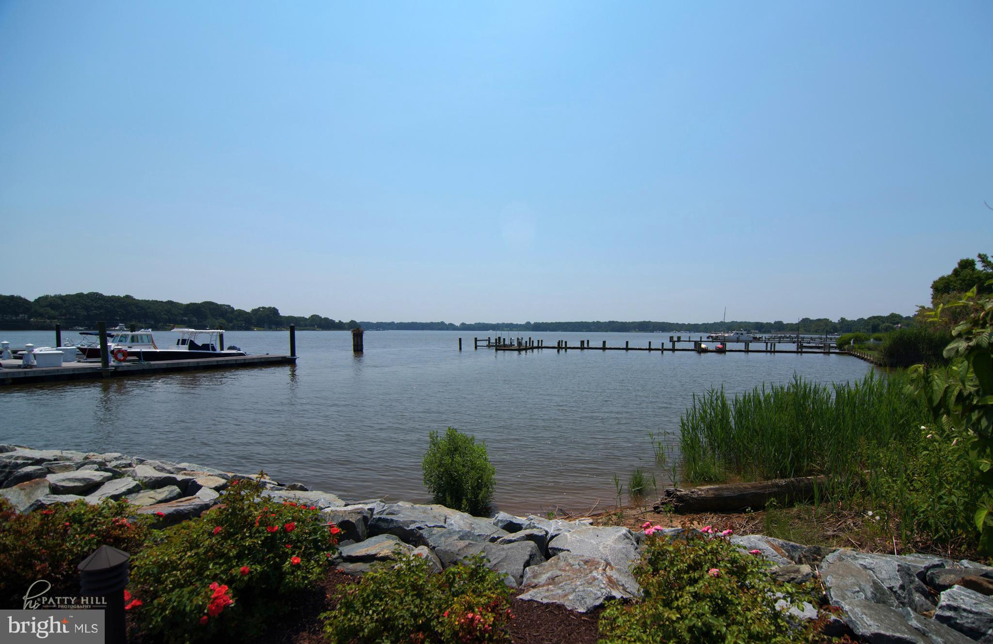 22943 Bay Shore Road Chestertown, MD 21620 - Photo 24 of 26 Chestertown Waterfront