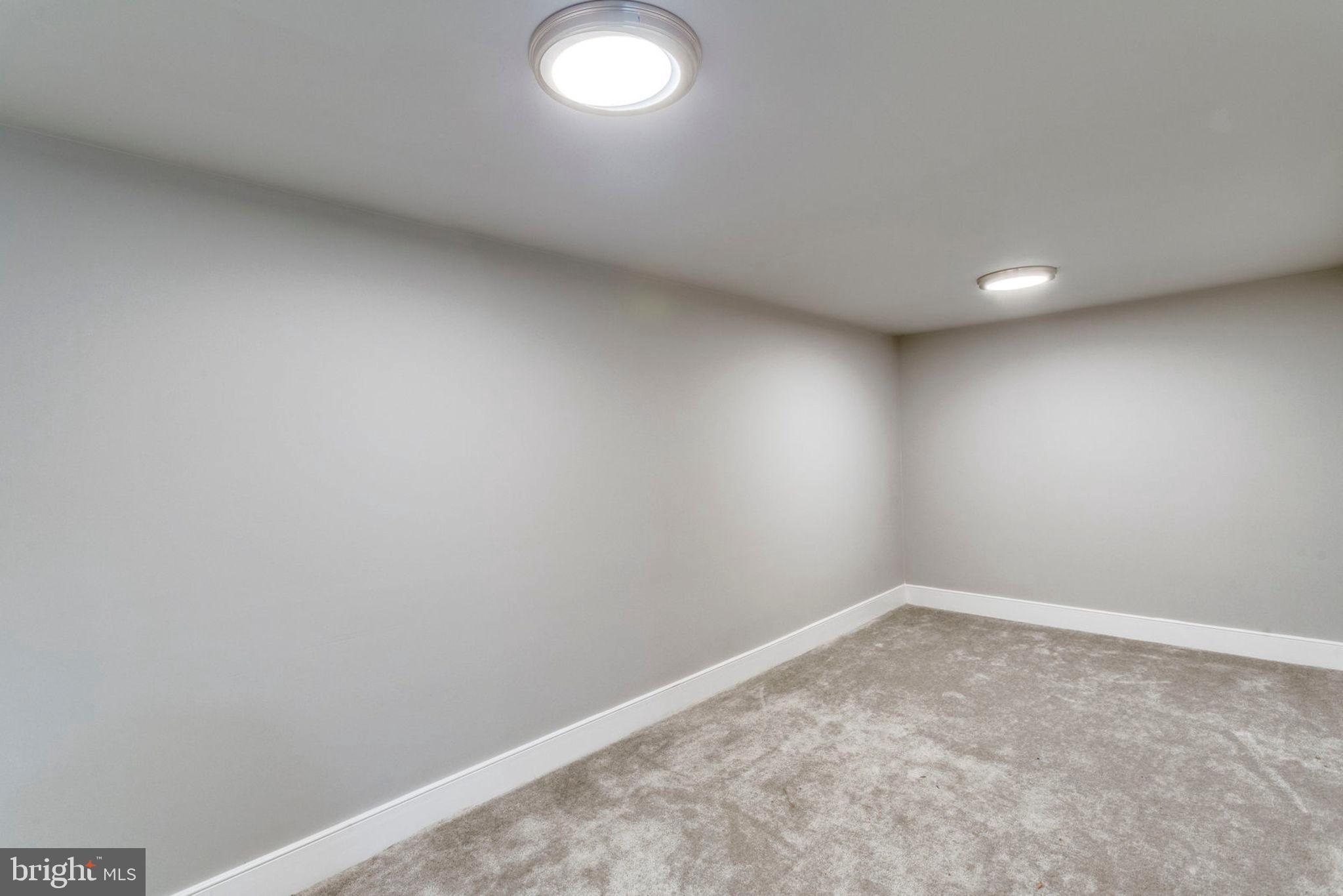 4906 Taylor Road Hyattsville, MD 20781 - Photo 50 of 68 Lower Level Recreation Room