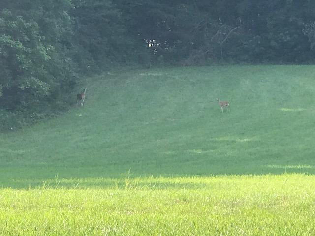 9999 Wyan Road, Unit LOT D London, KY 40744 - Photo 5 of 27 Photo 5